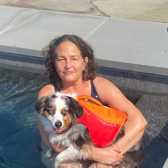 Meet your Posher, Alden - Picture 1 of 1